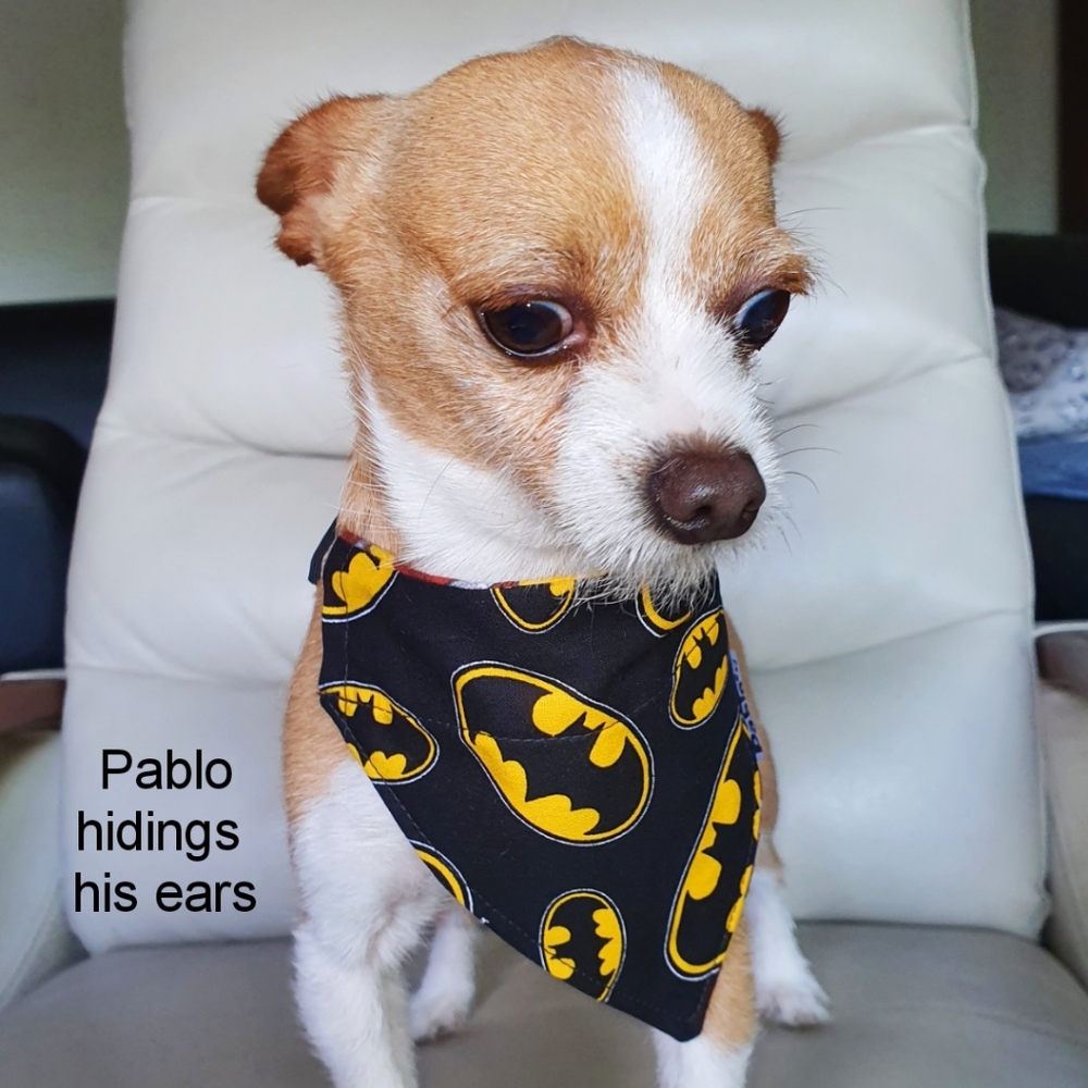 🐶 5 for $15 * Pablo Batman Reversible Over The Collar Dog Bandana